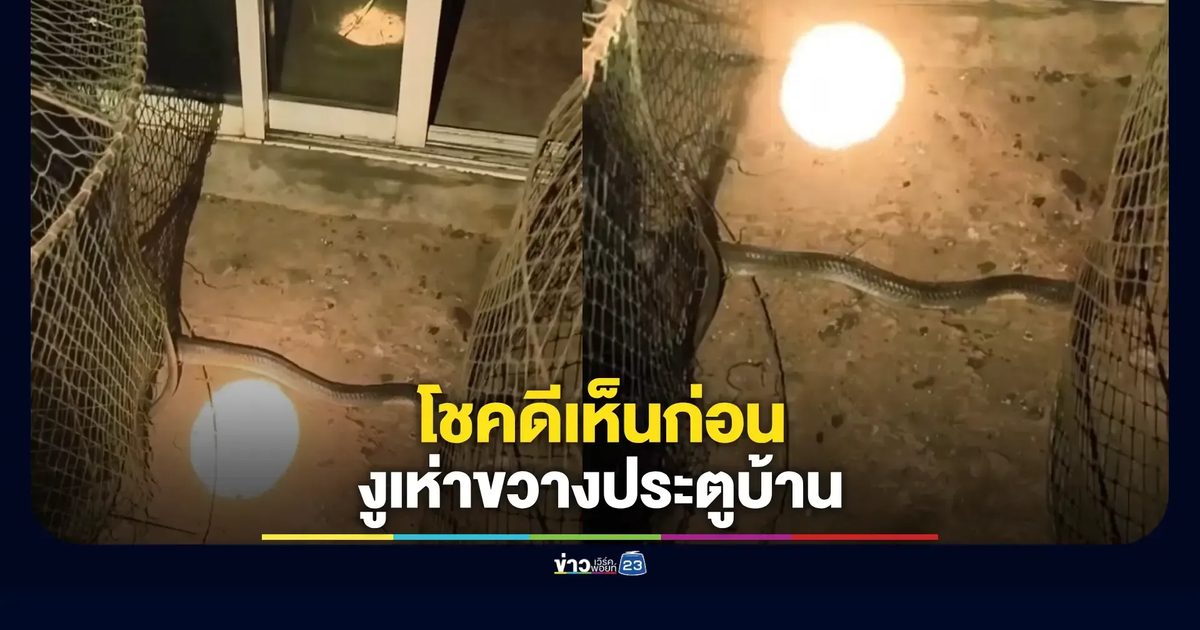 หนุ่มโคราชข้ามงูเห่าเข้าประตูบ้าน หวิดโดนฉก