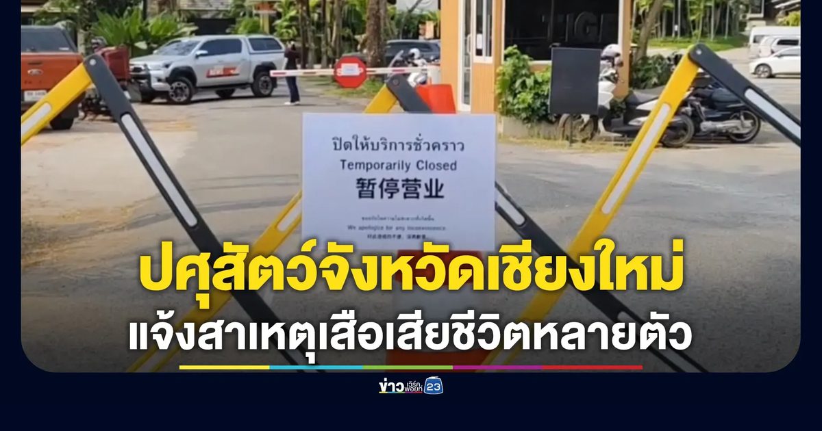 ปศุสัตว์จังหวัดเชียงใหม่ แจ้งแล้วสาเหตุทำให้เสือเสียชีวิตหลายตัวใน"คุ้มเสือเชียงใหม่"