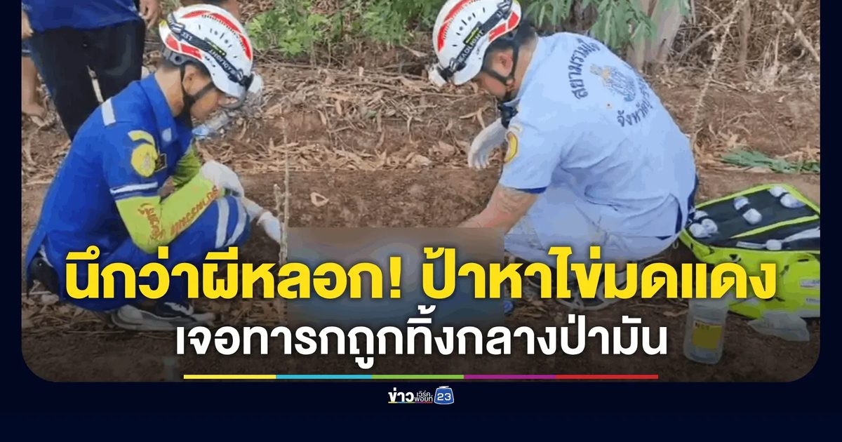 พบทารกเพศหญิงทิ้งกลางป่ามันสำปะหลัง ร้องระงมมด-ยุงรุมกัดคันทั้งตัว