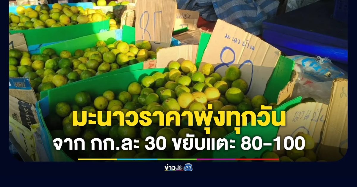 ราคามะนาวพุ่งทุกวัน จาก กก.ละ 30 ตอนนี้แตะ 80-100 แล้ว