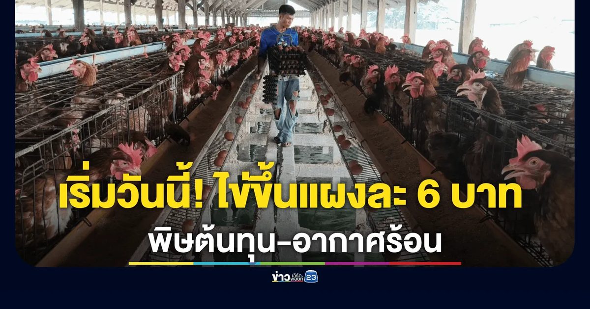 เริ่มวันนี้! ไข่ขึ้นแผงละ 6 บาท ฟาร์มโอดต้นทุนพุ่ง