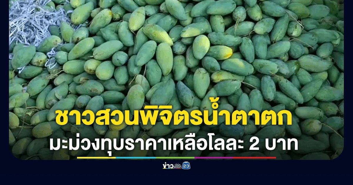 ชาวสวนพิจิตรน้ำตาตก ทุบราคาเหลือโลละ 2 บาท