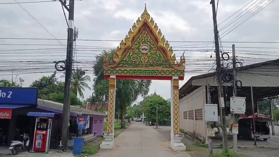 เกษตรกรแห่เช่า "ผ้ายันต์พัดโบก" ผูกยอดทุเรียน