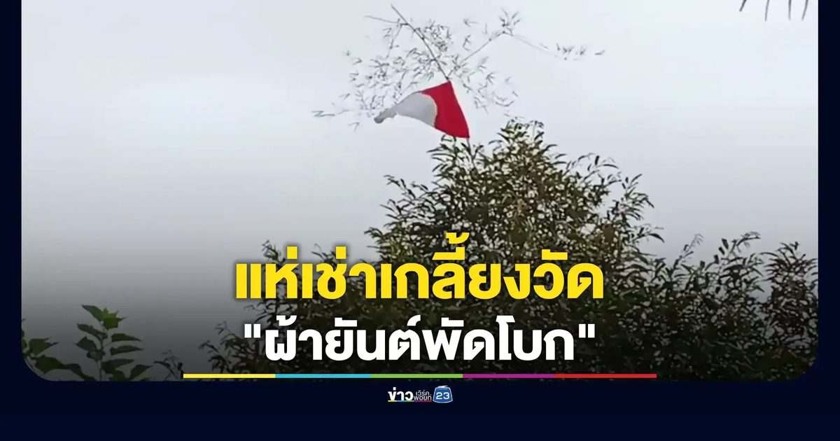 เกษตรกรแห่เช่า "ผ้ายันต์พัดโบก" ผูกยอดทุเรียน