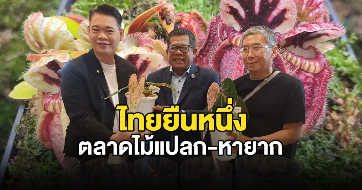 มหกรรม 'ไม้แปลก-ไม้หายาก' สุดยิ่งใหญ่ ครั้งที่ 19 ไทยประกาศเป็นเบอร์ 1 ของโลก