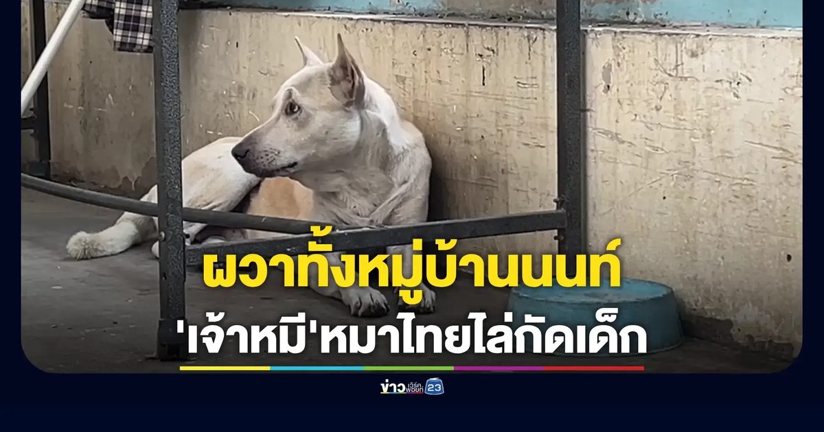 เจ้าของปัดผิดปล่อยสุนัขดุไล่กัดเด็กนับสิบราย