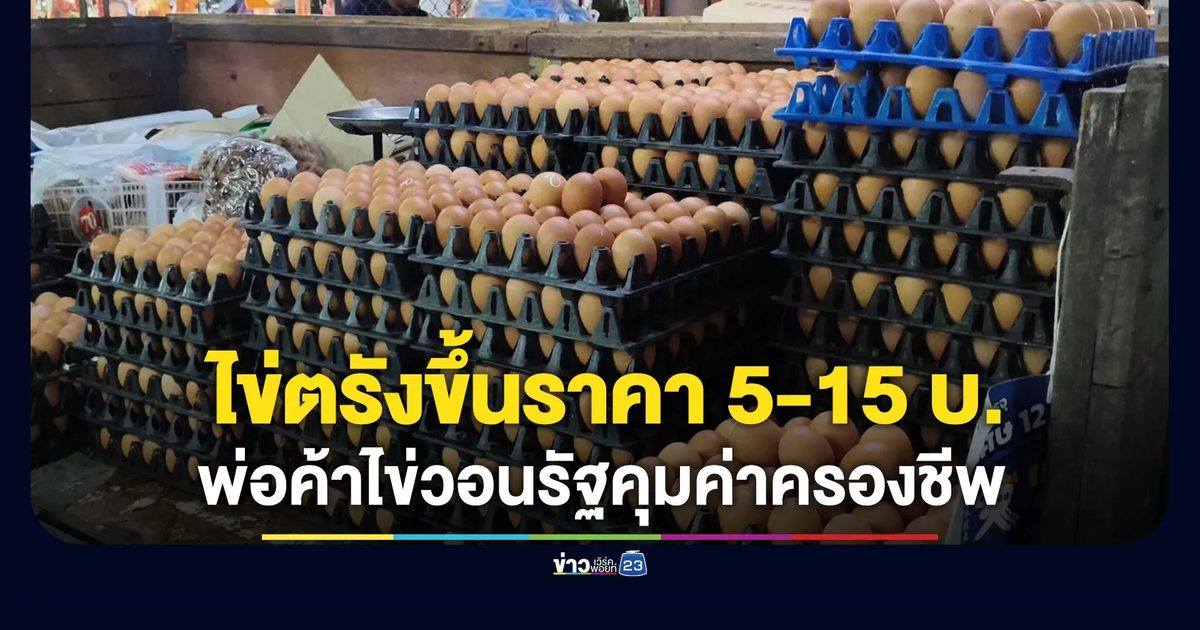 ไข่ตรังขยับแผงละ 5-15 บาท - พ่อค้าไข่วอนรัฐคุมค่าครองชีพ