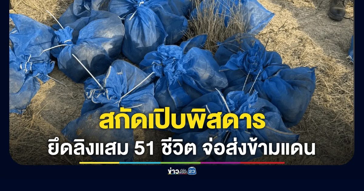 ทหารพรานยึดลิงแสม 51 ชีวิต ซุกป่าอ้อยจ่อส่งข้ามแดน