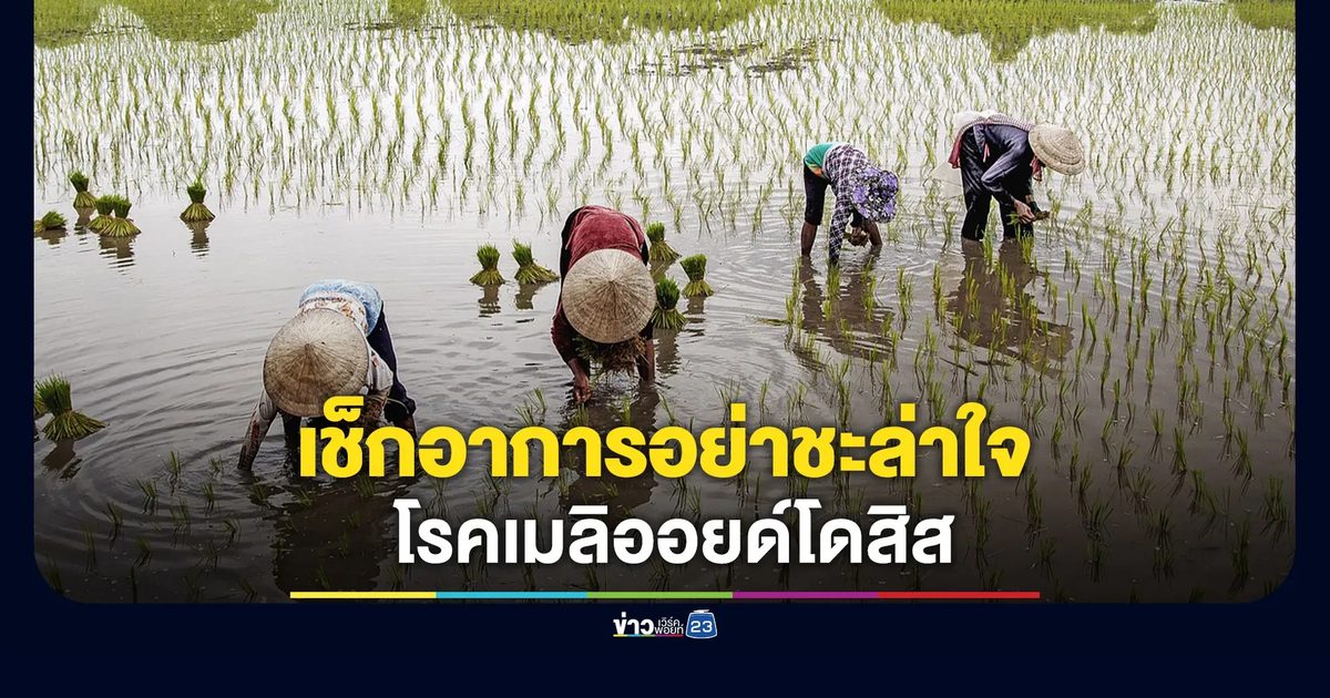 เช็กอาการ“โรคเมลิออยด์โดสิส”อย่าชะล่าใจ