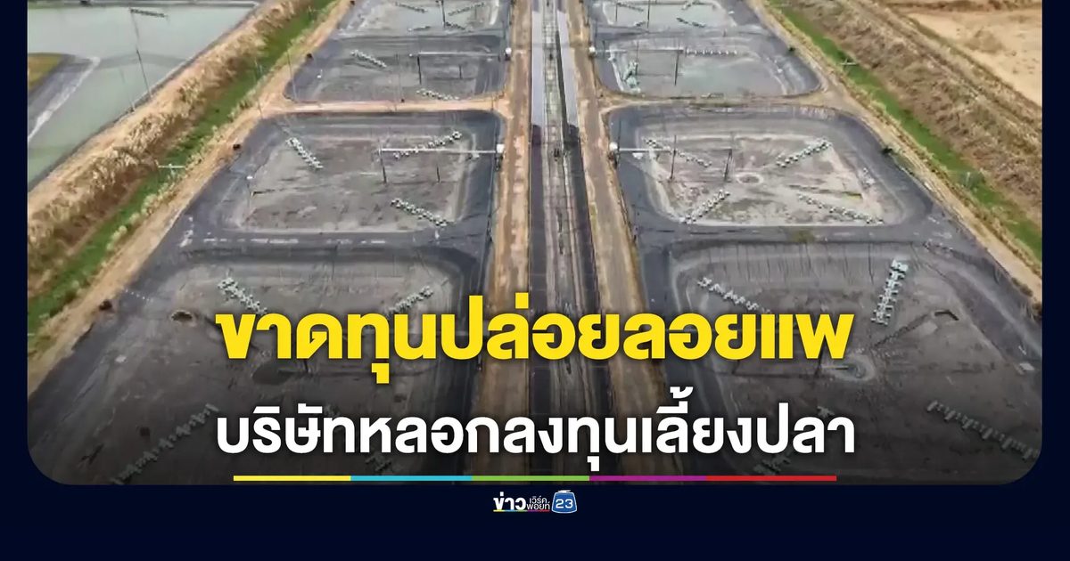 บริษัทยักษ์ใหญ่ หลอกลงทุนเลี้ยงปลา ขาดทุนปล่อยลอยแพ สูญกว่า 50 ล้าน