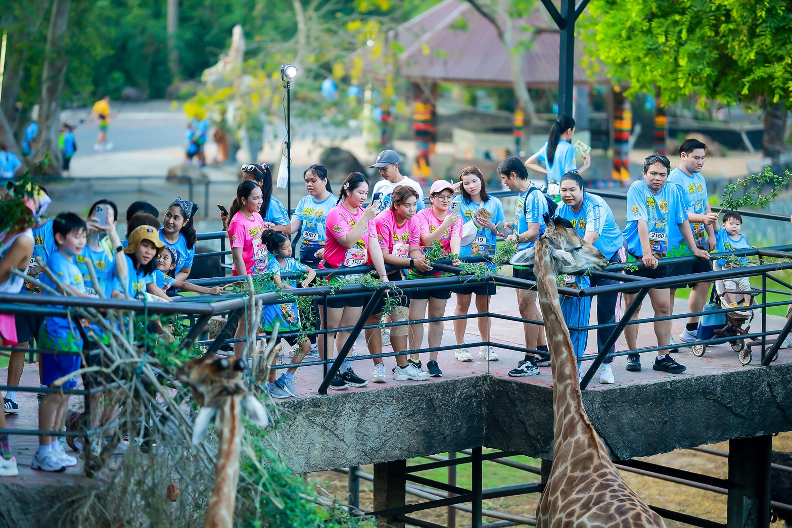 พบคนทำงานวัย 30 - 40 ปี หันมารักสุขภาพออกมาวิ่งกันมากขึ้น และยังพาครอบครัวออกมาวิ่งด้วยกัน