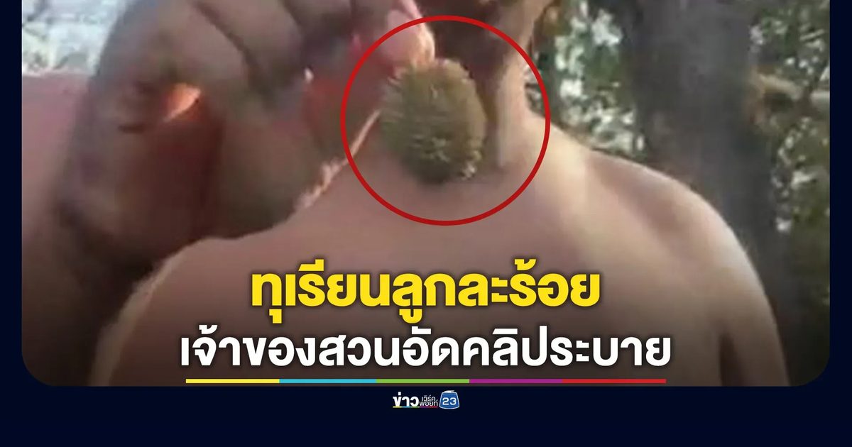เจ้าของสวนทุเรียนระยองโพสต์คลิปขายทุเรียนจิ๋วลูกละร้อย