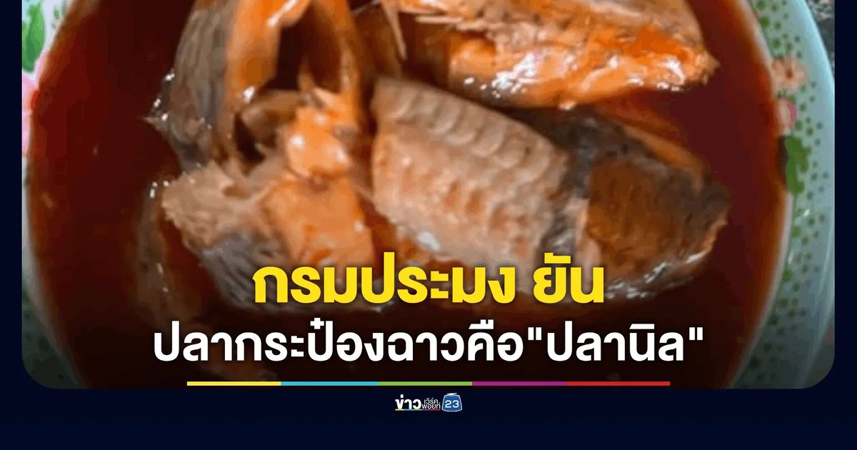 กรมประมง ยัน ผลตรวจปลากระป๋องพบเป็นปลานิล ไม่ใช่ปลาหมอคางดำ
