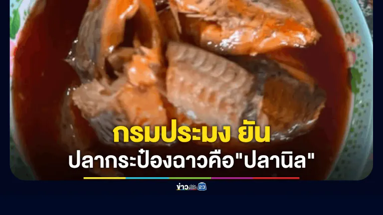กรมประมง ยัน ผลตรวจปลากระป๋องพบเป็นปลานิล ไม่ใช่ปลาหมอคางดำ