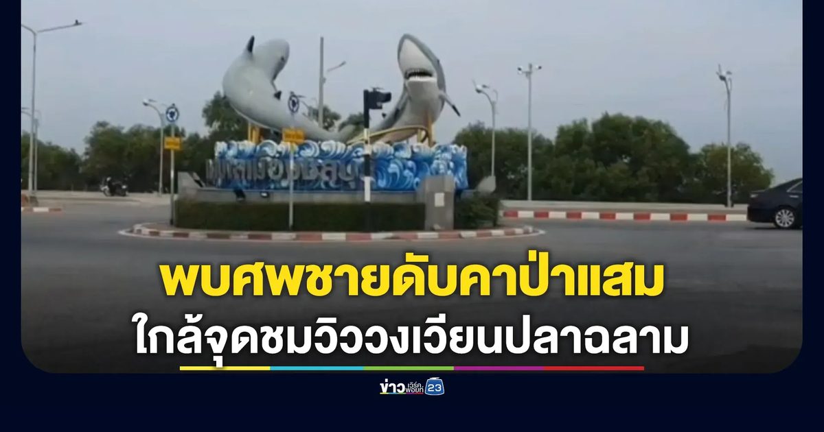 พบศพชายดับคาป่าแสมใกล้จุดชมวิววงเวียนปลาฉลาม