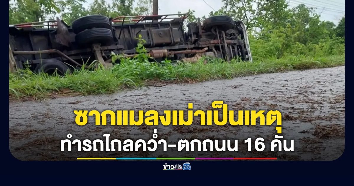 ซากแมลงเม่าเป็นเหตุ ทำรถไถลคว่ำ-ตกข้างทาง 16 คัน