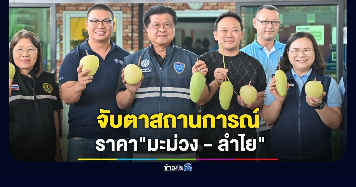 พาณิชย์ลุยเหนือจับตาสถานการณ์ราคา"มะม่วง-ลำไย"