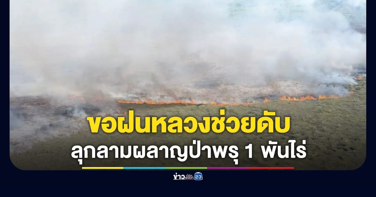 ประสานฝนหลวง ช่วยดับไฟป่าพรุ เสียหาย 1,000 ไร่