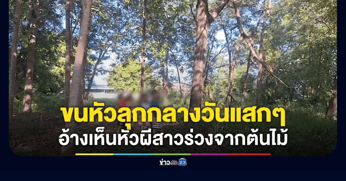 ขนหัวลุกกลางวันแสกๆ! เด็กช็อกวิ่งป่าราบ อ้างเห็น "หัวผีผู้หญิง" ร่วงจากต้นไม้