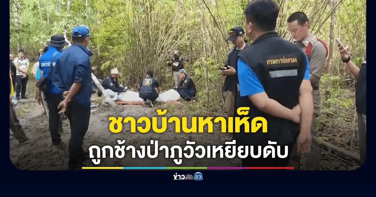สลด! ช้างป่าภูวัวขยี้ร่างหญิงหาเห็ดดับคาป่า