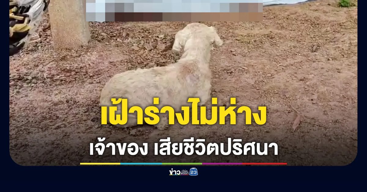 สลด! สุนัขคู่ใจเดินวนเวียนเฝ้าร่างเจ้าของ หญิงวัย 62 เสียชีวิตปริศนาบนเปล