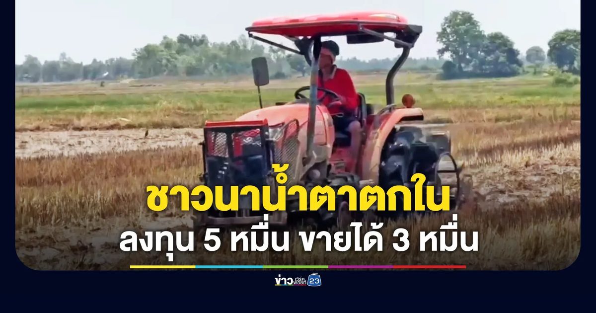 ชาวนาน้ำตาตกใน ลงทุน 5 หมื่น ขายข้าวได้ 3 หมื่น