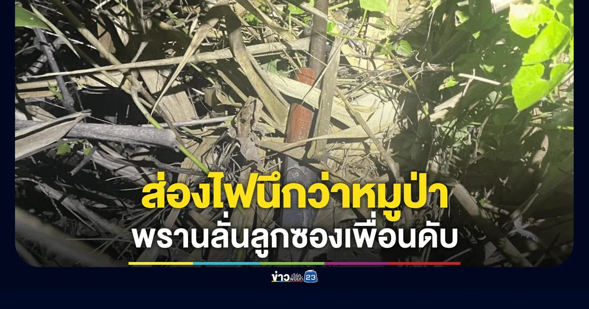 ส่องไฟนึกว่าหมูป่า! พรานลั่นลูกซองเปรี้ยงเพื่อนดับคาป่าท้ายหมู่บ้าน