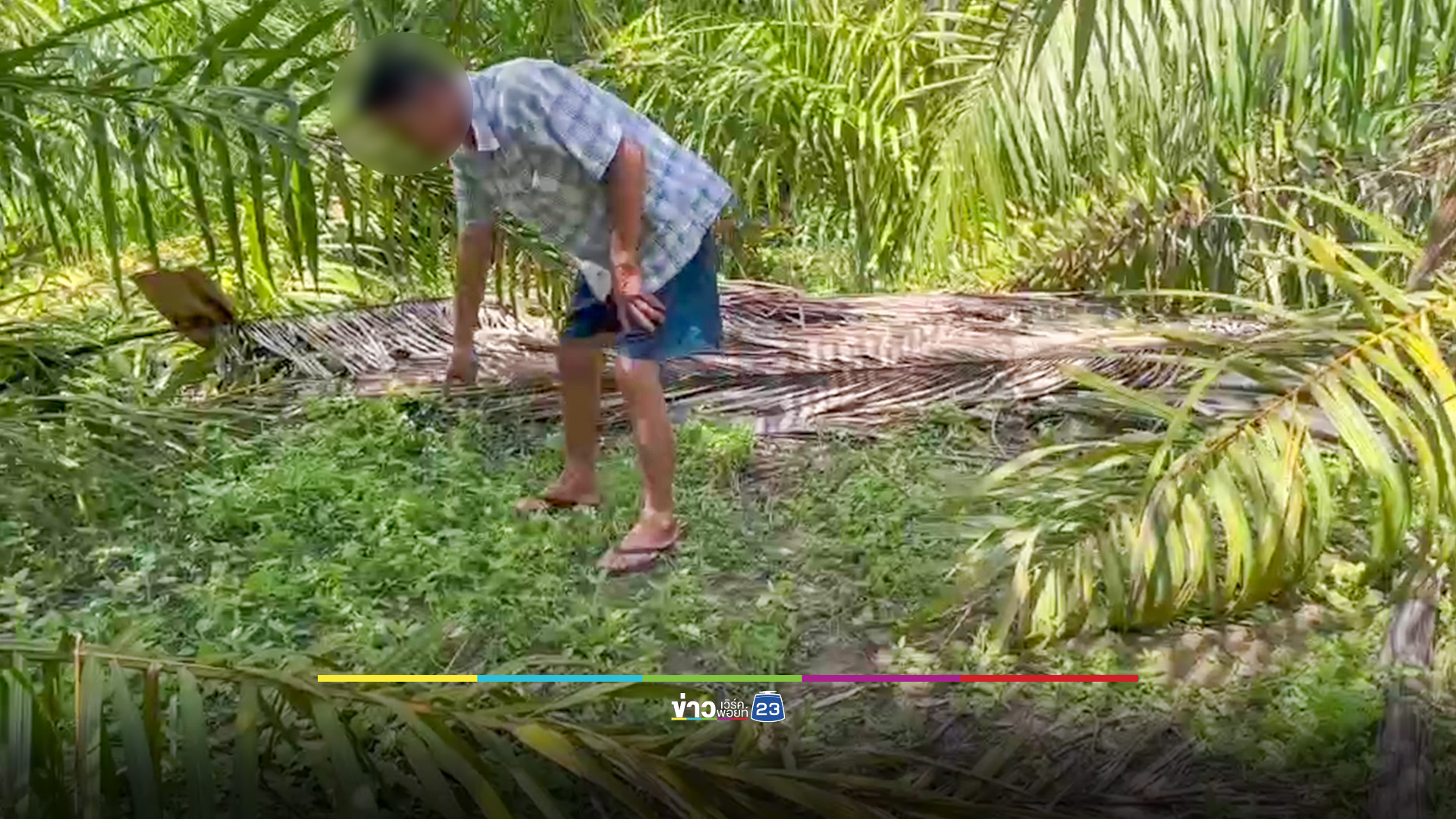 จ่อหมายจับ! หนุ่มนราฯ ฆ่าชิงเงิน 5 หมื่นสัปเหร่อวัย 70 ทิ้งศพในช่องเขา
