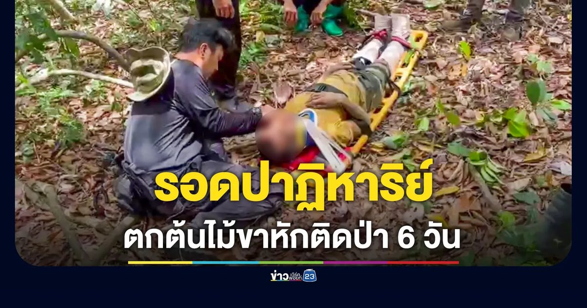 ติดป่าลึก 6 วัน รอดปาฏิหาริย์! ชายหาของป่า ตกต้นไม้สะโพกหลุดขาสองข้างไม่ตอบสนอง