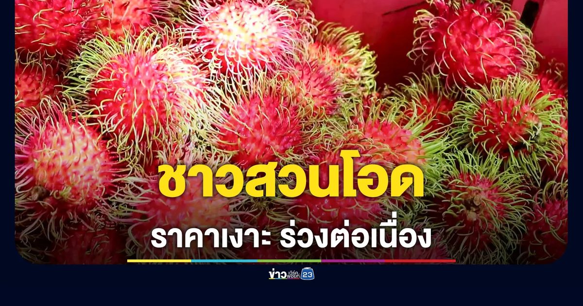 ราคาร่วงต่อเนื่อง! เงาะโรงเรียนจาก 19 บาทเหลือ 16-17 บาทต่อกิโลฯ ชาวสวนวอนรัฐบาลพยุงราคา