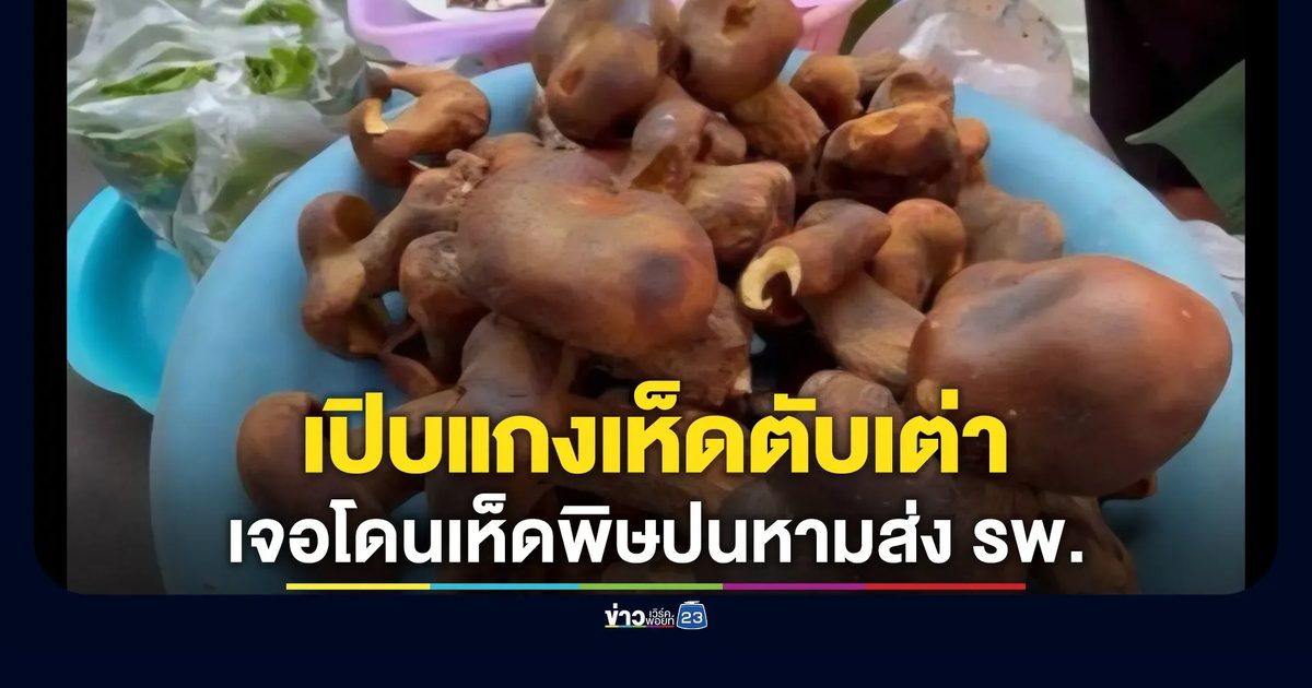 เตือนภัยหน้าฝน! หาม 2 ยายพี่น้องส่ง รพ.ด่วน เปิบแกงเห็ดตับเต่า