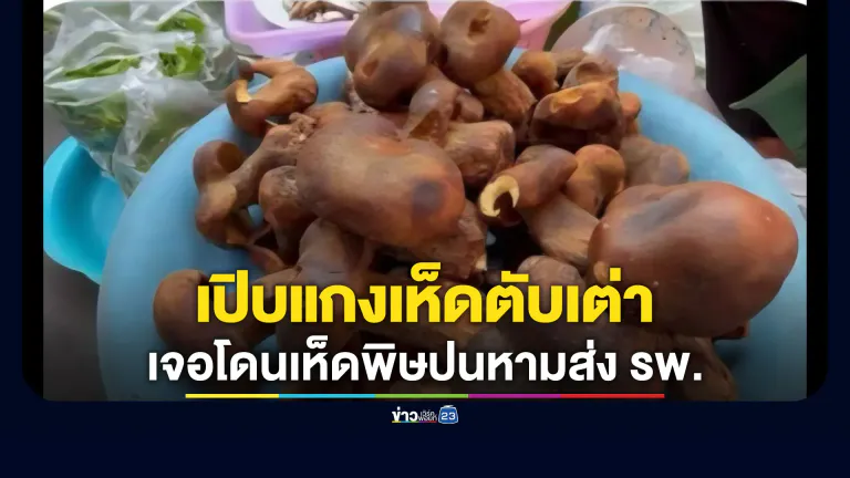 เตือนภัยหน้าฝน! หาม 2 ยายพี่น้องส่ง รพ.ด่วน เปิบแกงเห็ดตับเต่า