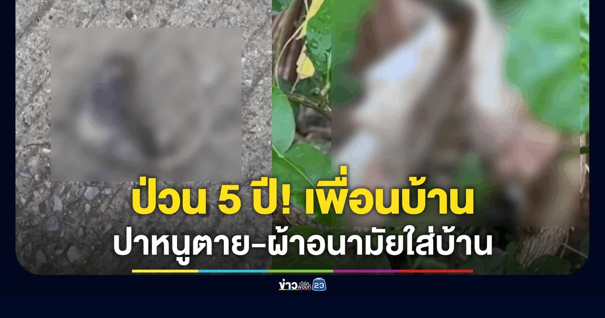 ป่วน 5 ปี! เพื่อนบ้านมหาภัยขว้างหิน-หนูตายใส่บ้าน ร้องเรียนแล้วเงียบ จนต้องหนีไปนอนศาลา