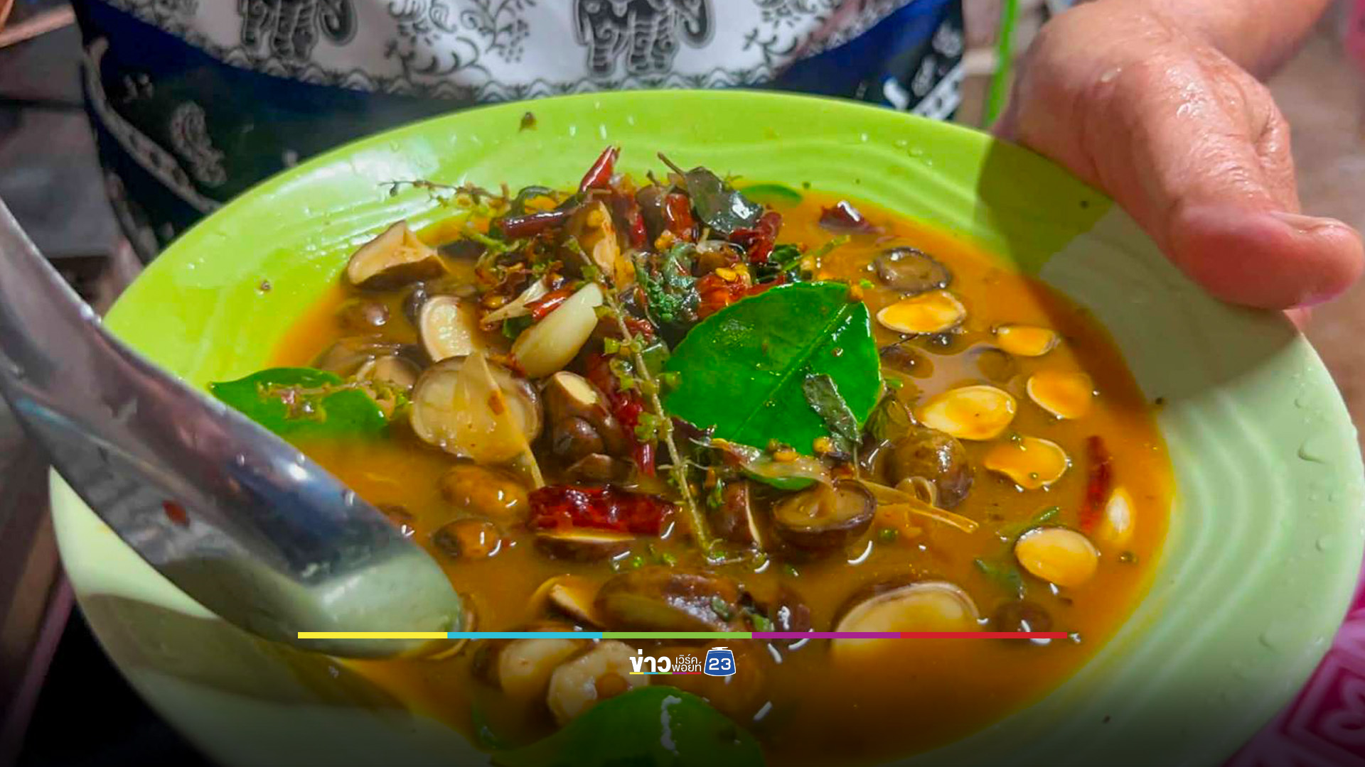 "เห็ดเผาะ" ราคาพุ่ง กก.ละ 800-1000 บาท ชาวบ้านแห่เก็บคึกคัก