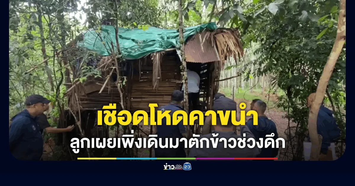 ฟันหัวชายวัย 52 คาขนำสวนยางเมืองคอน