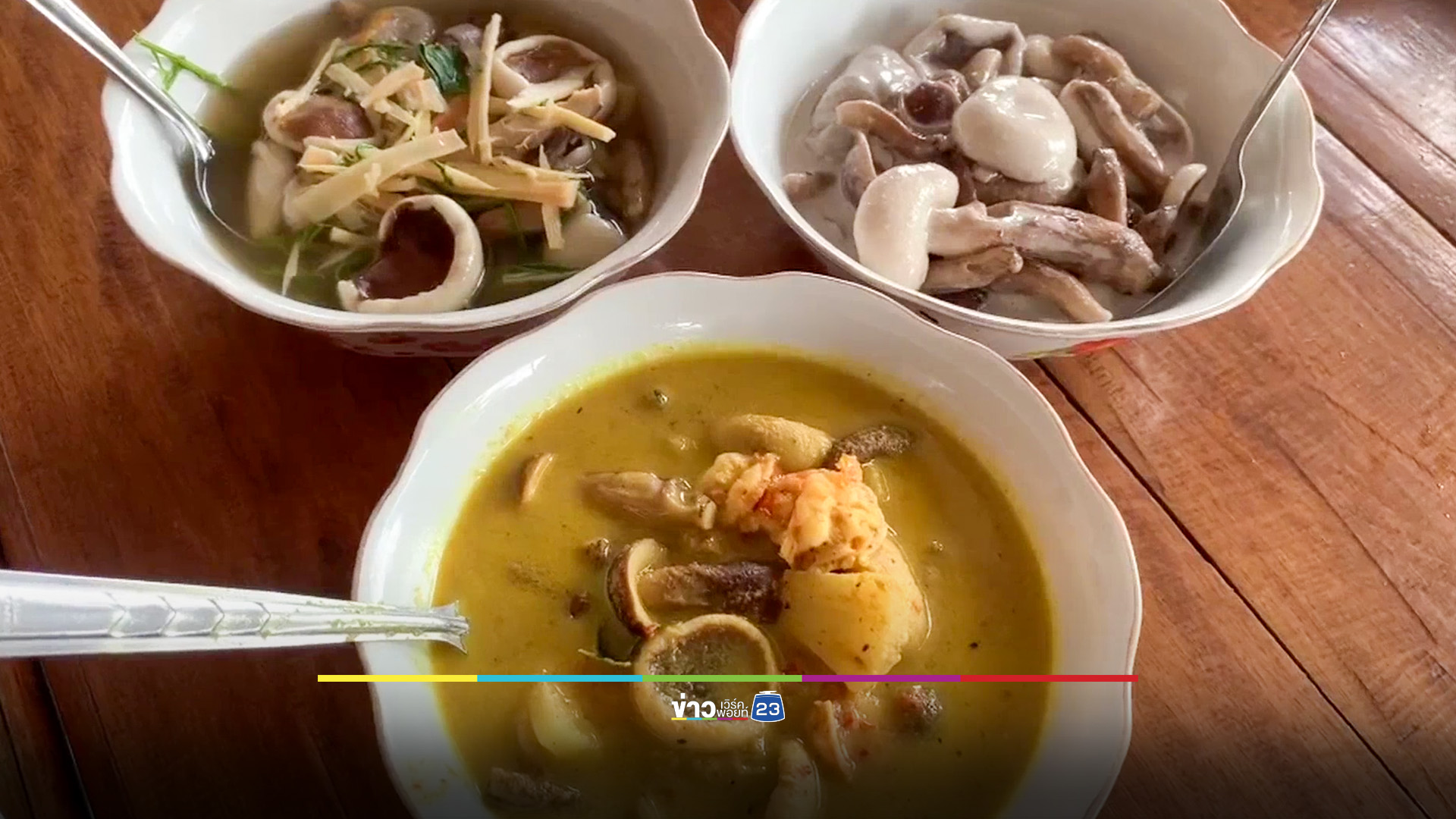 ฤดูกาลเห็ดเสม็ด ชาวใต้แห่เก็บช่วงฝนแรก นำไปรับประทาน - ขายสร้างรายได้เสริม