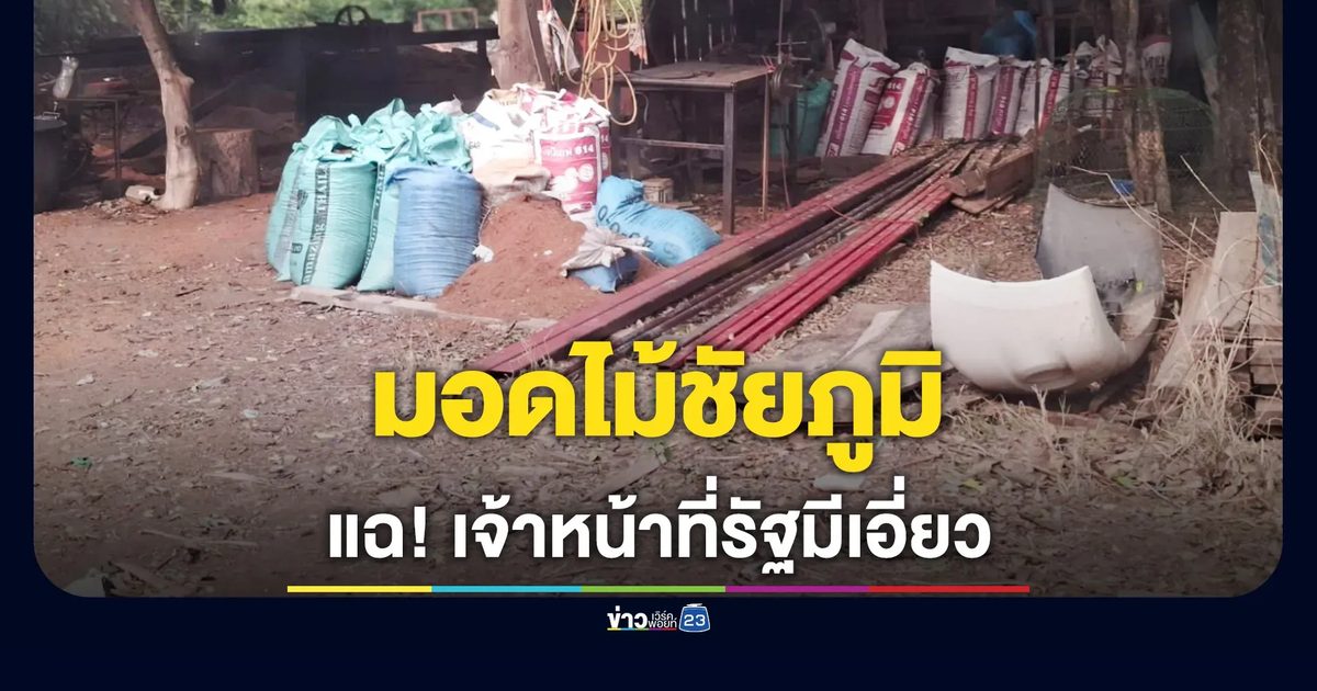 จี้ผู้ว่าฯ ชัยภูมิ สอบเจ้าหน้าที่รัฐเอี่ยวขบวนการตัดไม้