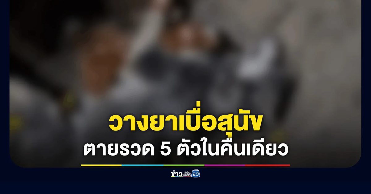 วางยาเบื่อสุนัขตายรวด 5 ตัวในคืนเดียว