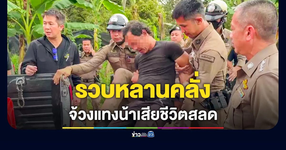 หลานคลั่ง จ้วงแทงน้าเสียชีวิตสลด เผยป่วยจิต