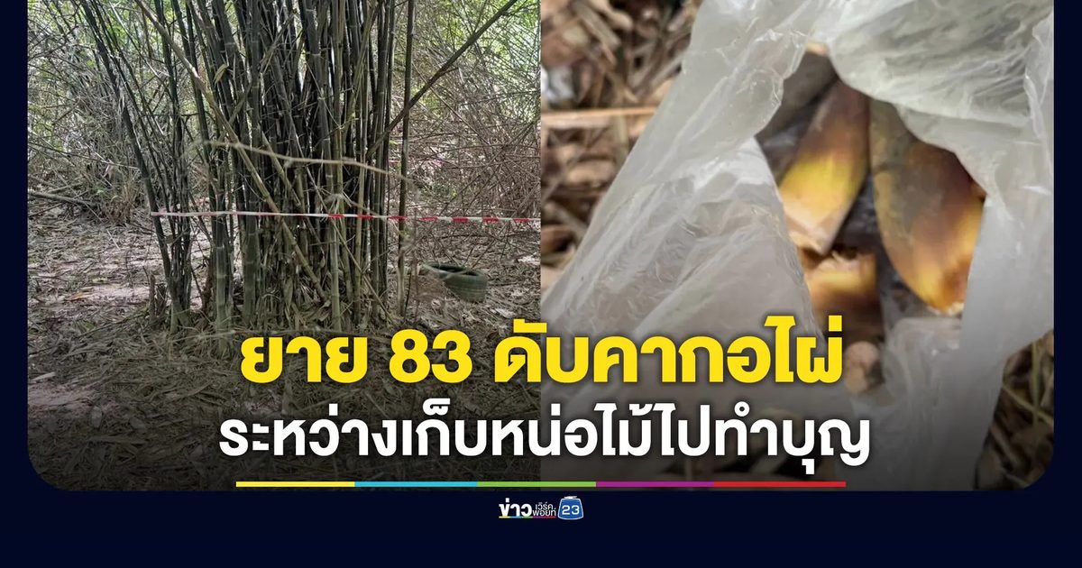 ยาย 83 เก็บหน่อไม้ไปทำบุญ ก่อนถูกพบดับคากอไผ่