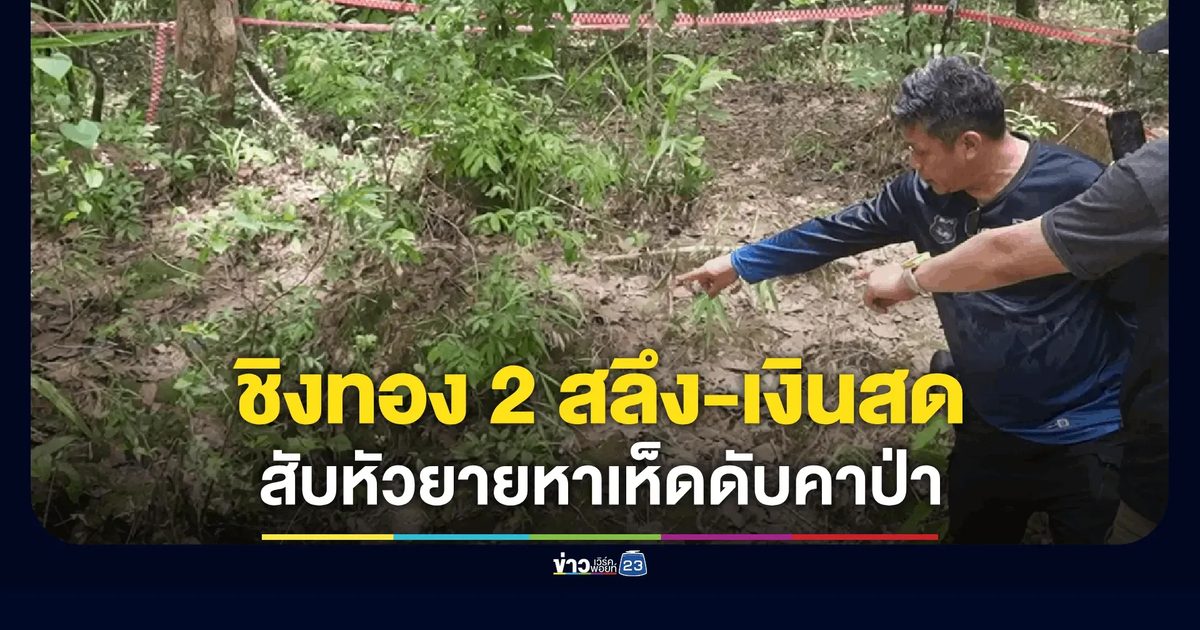 มีดสับหัวยายวัย 63 หมกป่าชุมชนเชียงรายขณะหาเห็ด ทอง 2 สลึง-เงินสดหายเกลี้ยง