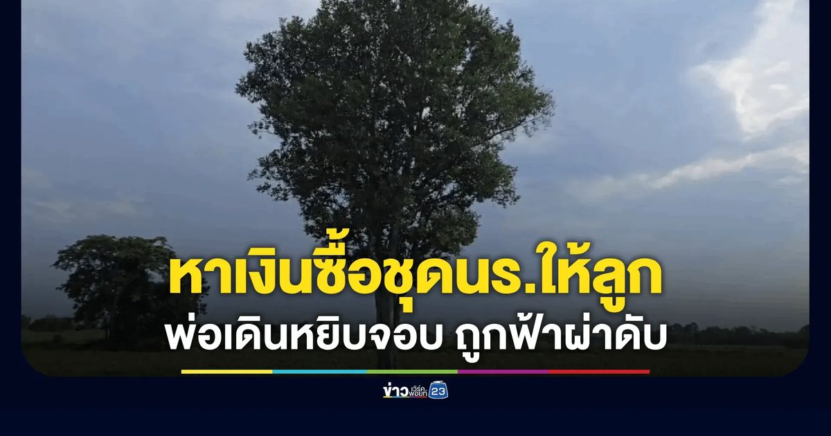 พ่อสู้ชีวิตหาเงินซื้อชุดนักเรียนให้ลูกสาว 9 ขวบ ถูกฟ้าผ่าดับกลางไร่อ้อย