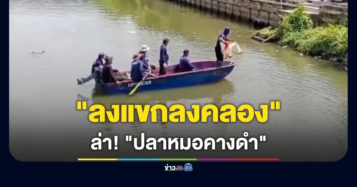 ชาวพระประแดง "ลงแขกลงคลอง" ล่า "ปลาหมอคางดำ"