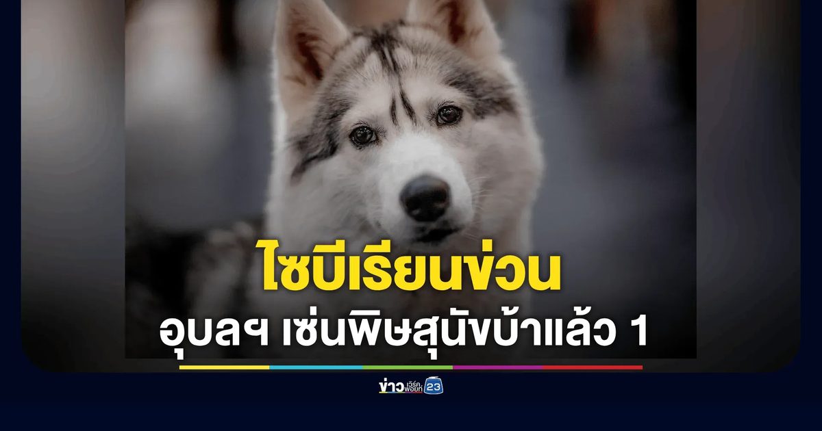 ดับแล้ว 1 ราย โรคพิษสุนัขบ้าที่อุบลฯ