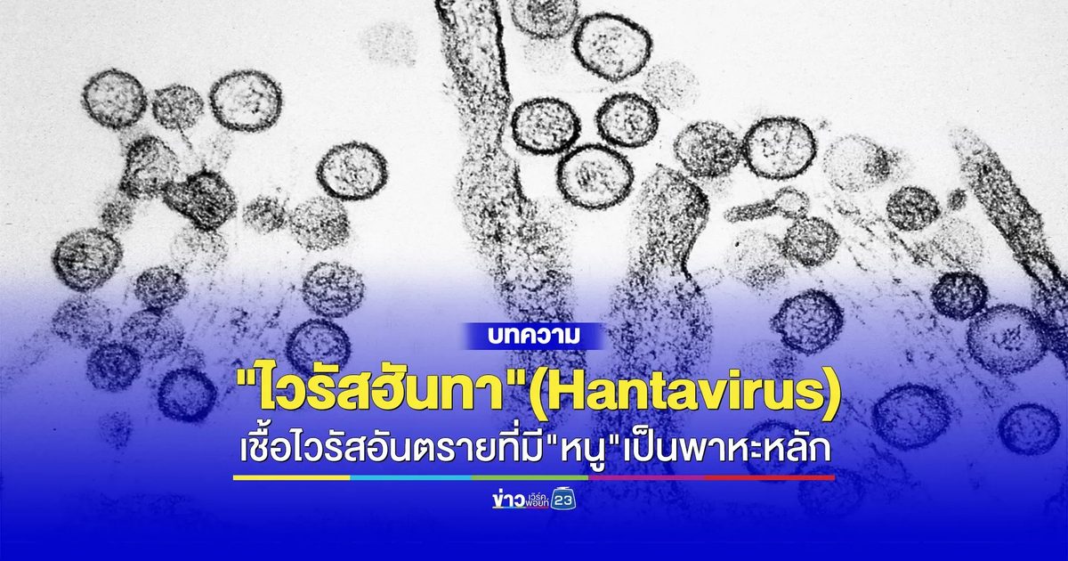 "ไวรัสฮันทา" (Hantavirus) มฤตยูเงียบจากหนูสู่คน รุนแรงถึงขั้นเสียชีวิต