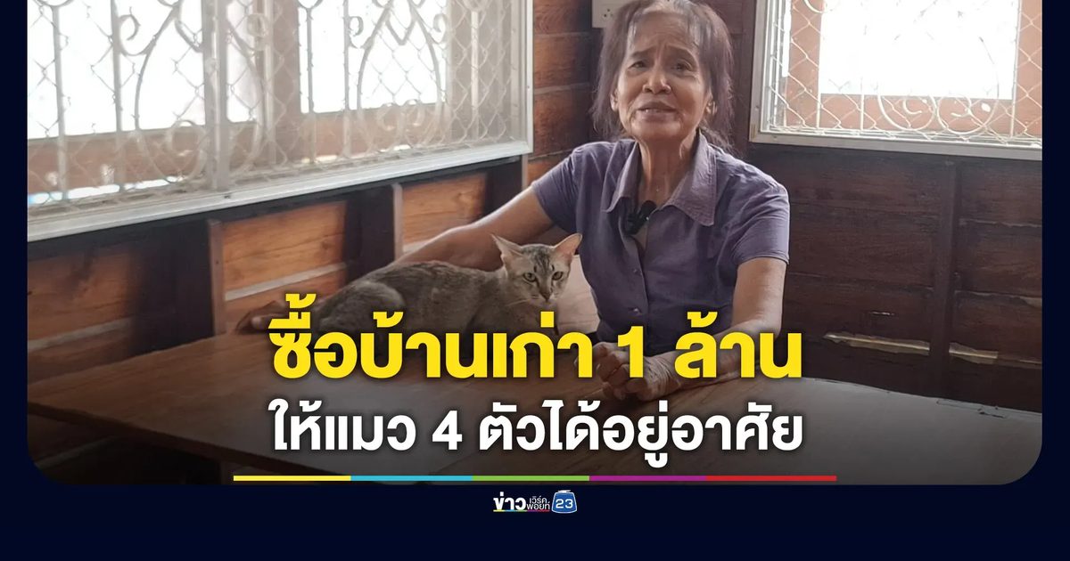 คุณยายควัก 1 ล้าน ซื้อบ้านให้แมว 4 ตัว