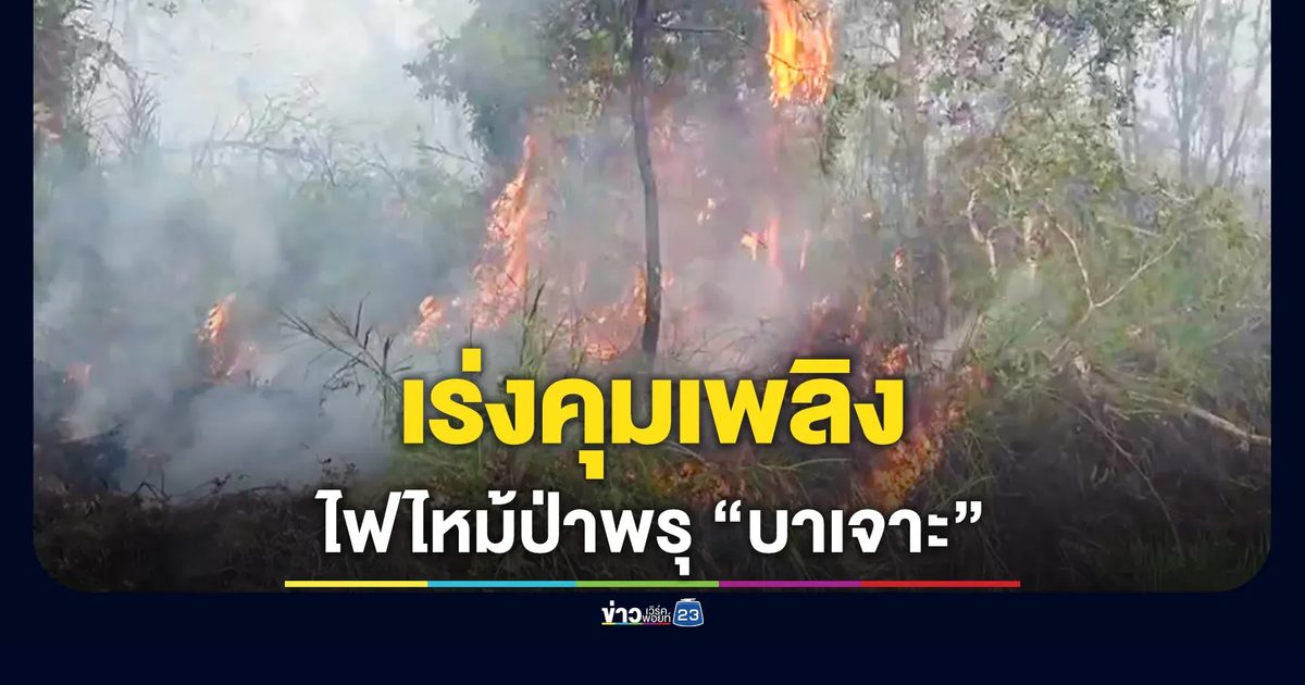 ผู้ว่าฯ นราฯ รุดบัญชาการเหตุไฟไหม้ป่าพรุบาเจาะ สั่งระดมรถน้ำ 14 คันสกัดเพลิง