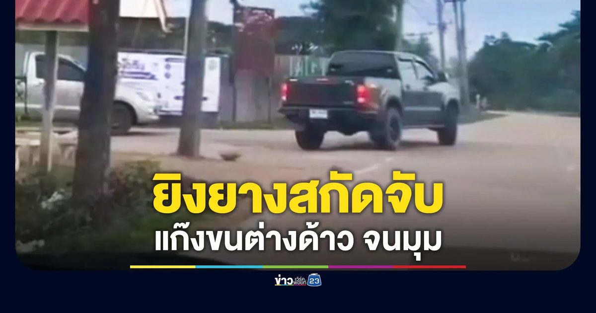 ขบวนการขนต่างด้าว ซิ่งหนีตำรวจ ยิงยางสกัดจับได้