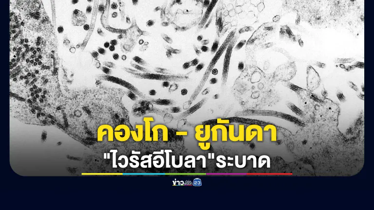 "ไวรัสอีโบลา"ระบาดใน"คองโก-ยูกันดา"