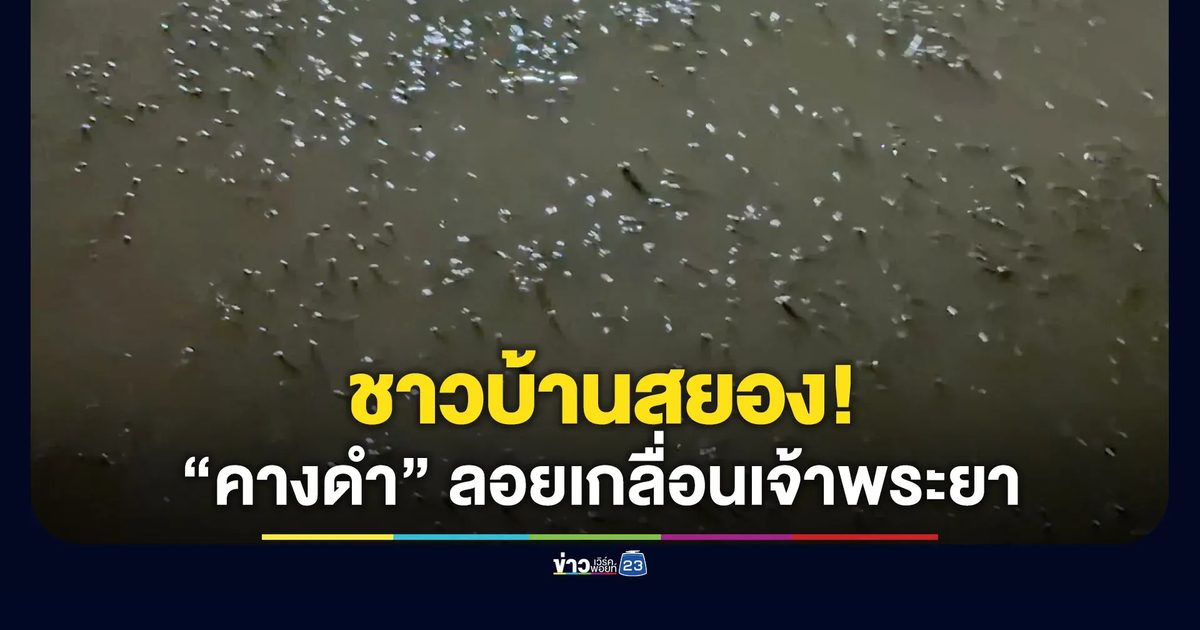 ชาวบ้านสยอง! ปลาหมอคางดำลอยเกลื่อนเจ้าพระยา